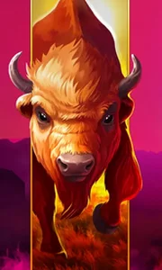 Big Wild Buffalo