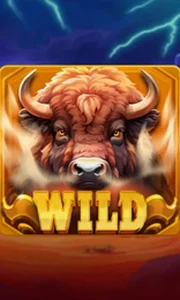 Buffalo Power Claw: Hold and Win